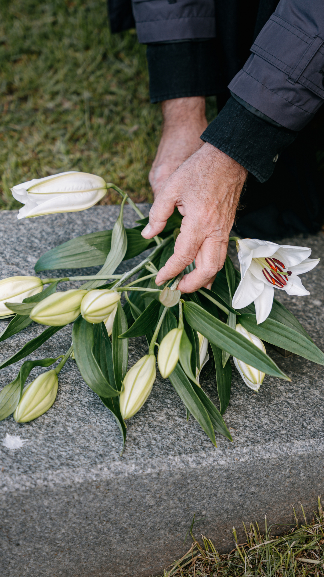 Perpetual Care & Maintenance